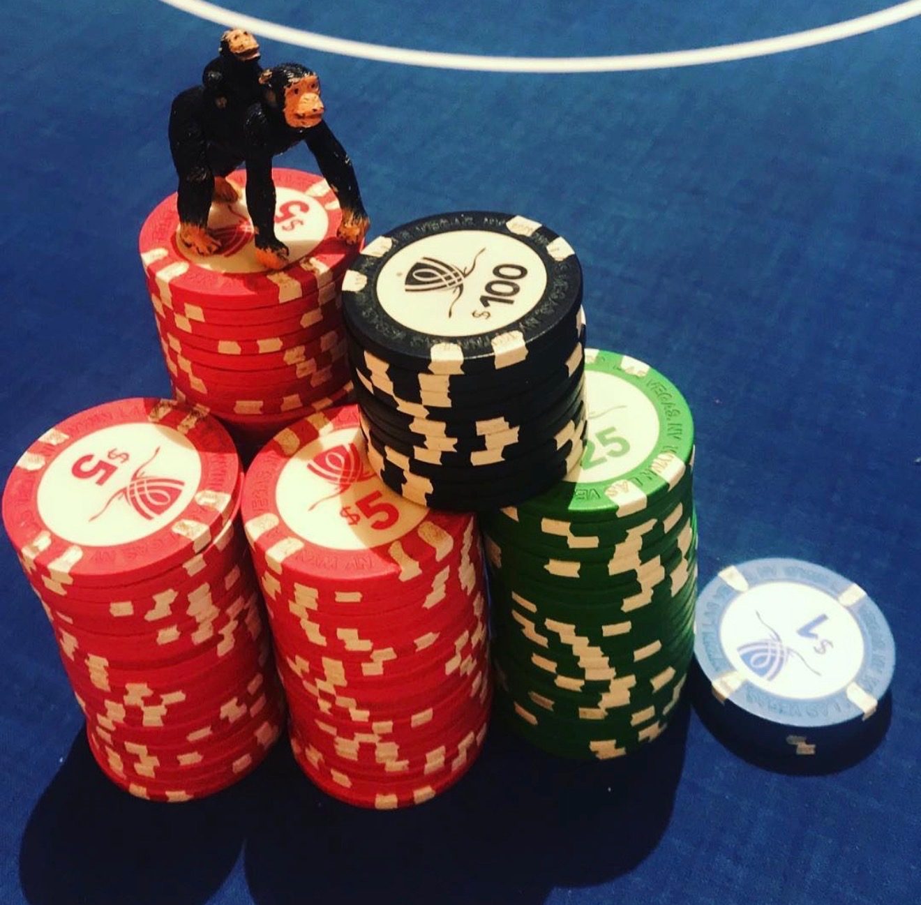 Coach Robbie live poker chip stack photo 10