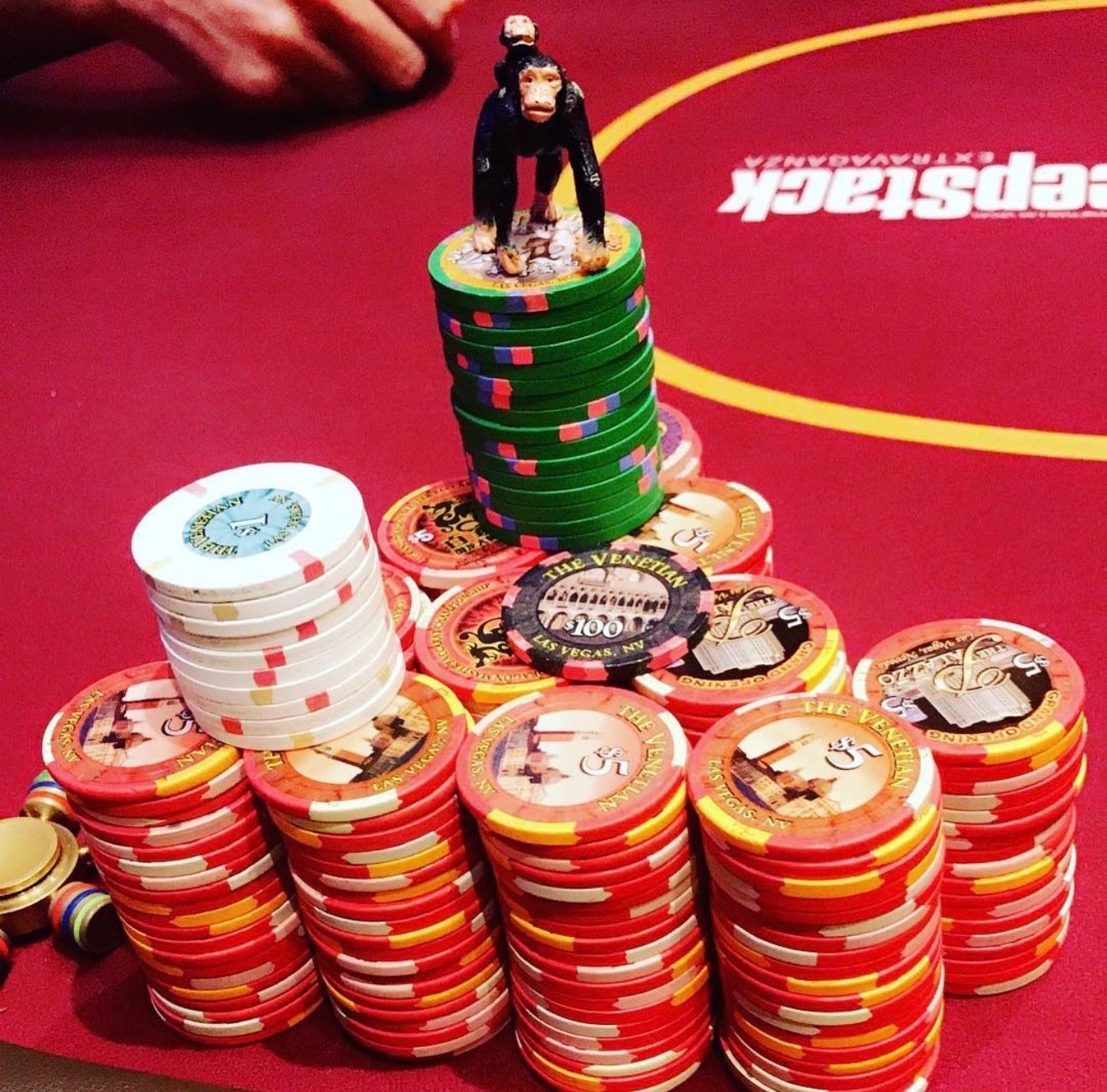Coach Robbie live poker chip stack photo 8